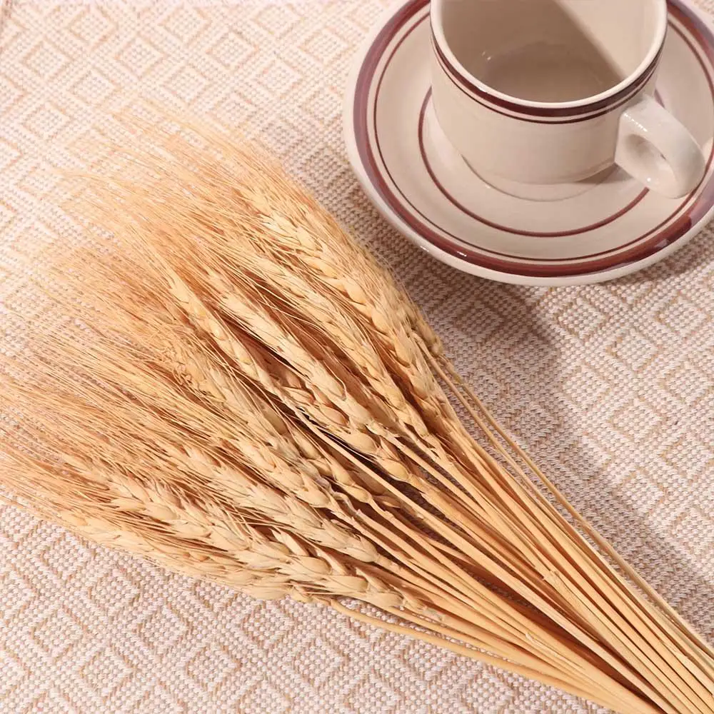 50pcs Artificial Flower Natura - Dried Flower Bulk 评论和价格