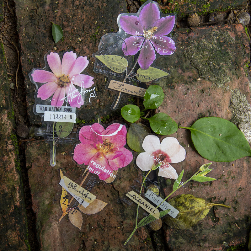 10 Pcs/Pack Corner Flower Hous - Dried Flower Bulk 评论和价格