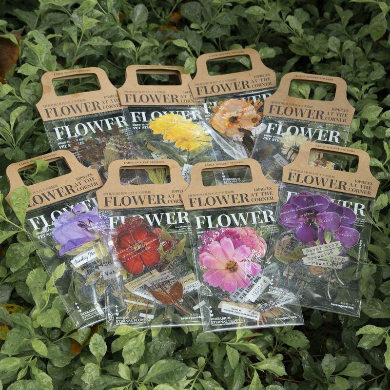 10 Pcs/Pack Corner Flower Hous - Dried Flower Bulk 评论和价格