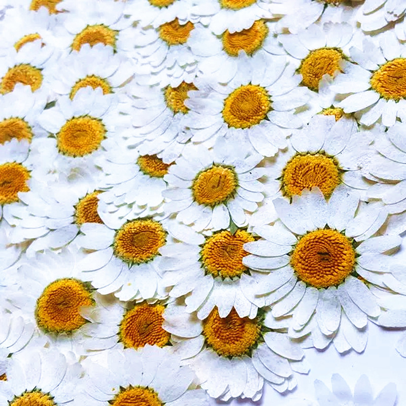 100Pcs Natural White Crystal C - Resin Craft Ideas 评论和价格