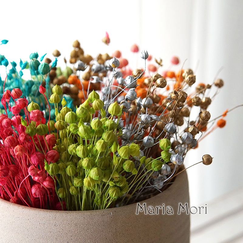 5g Preserved Flax Bean Natural - Dried Flower Bulk 评论和价格