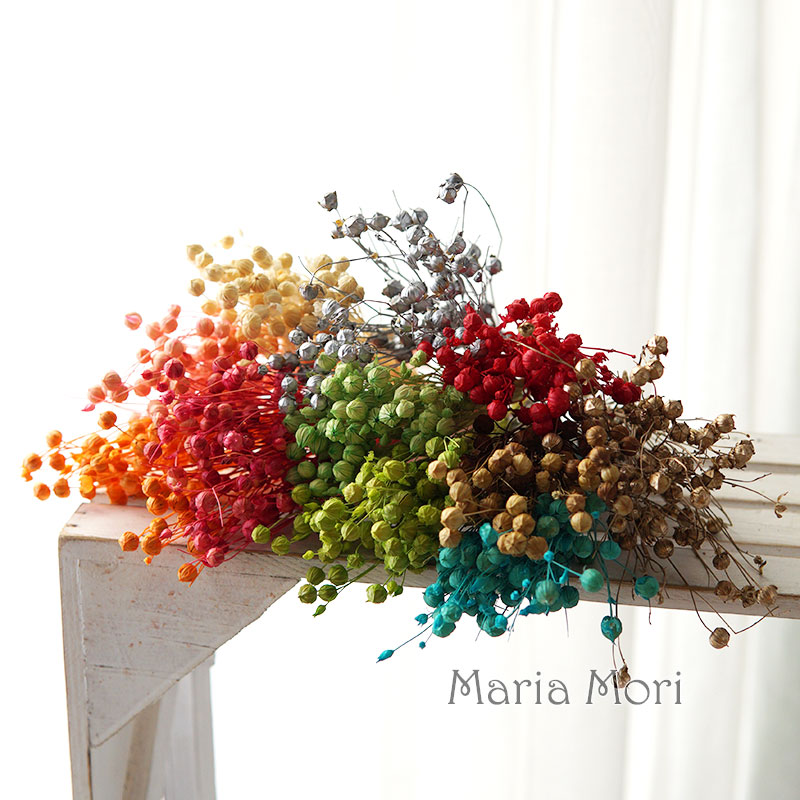5g Preserved Flax Bean Natural - Dried Flower Bulk 评论和价格