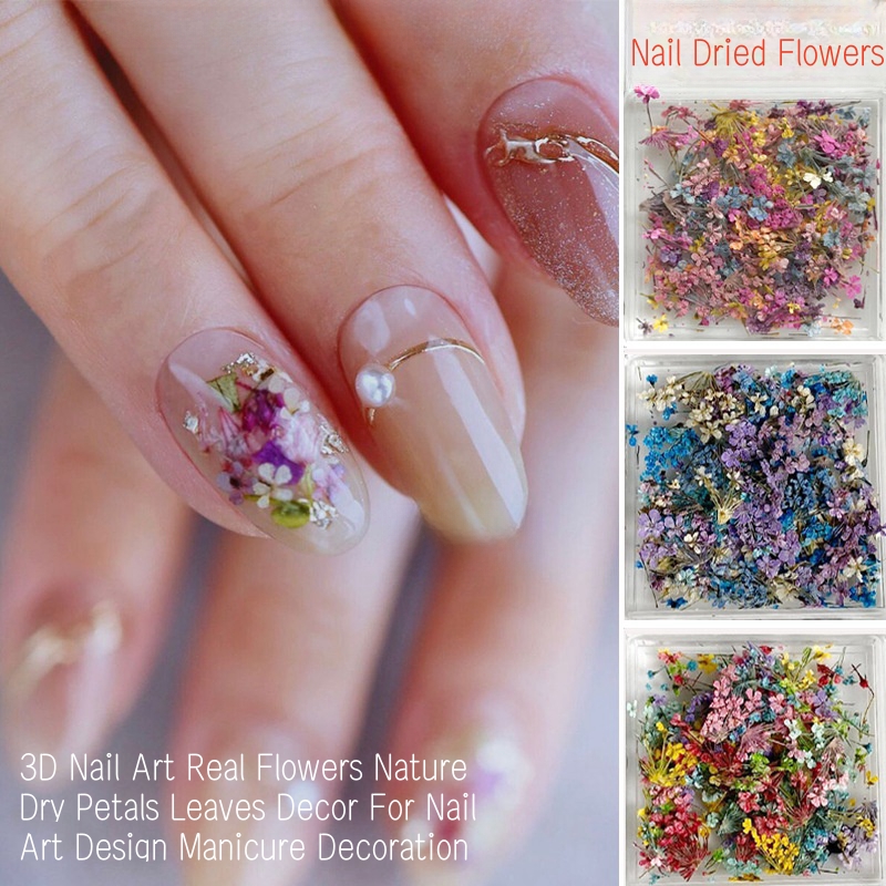 Mixed Small Dried Flowers Nail - Dried Flower Bulk 评论和价格